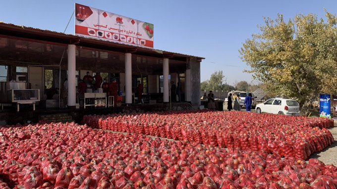 New factory for processing of pomegranate inaugurated in Kandahar 