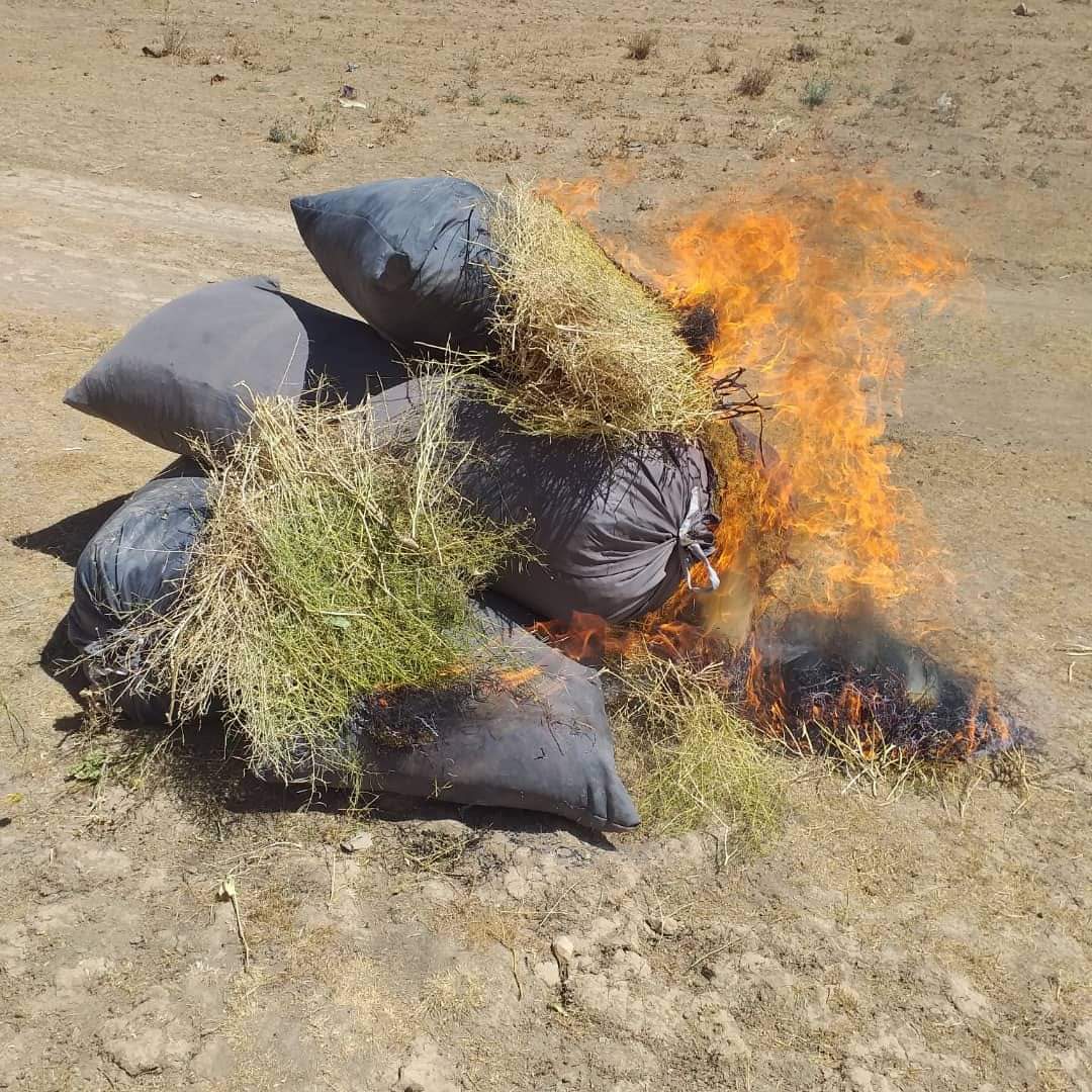 Two drugs factories torched in Ghor 