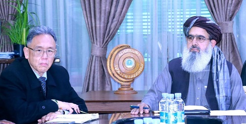 Jalali, WHO officials discuss efforts stop, treat tuberculosis