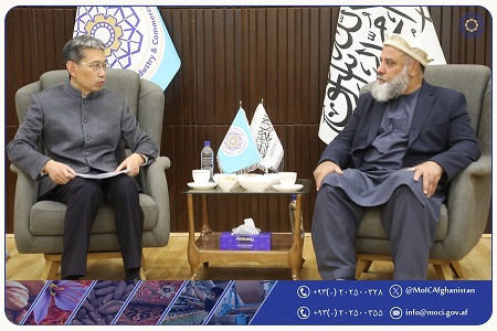 Chinese ambassador shares problems of Chinese investors with Minister of Industry