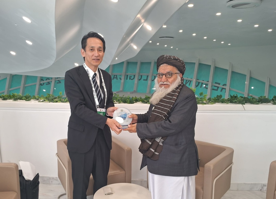 NEPA Director General meets Japan’s deputy minister for environmental protection