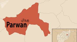 Tribal elder gunned down in Parwan
