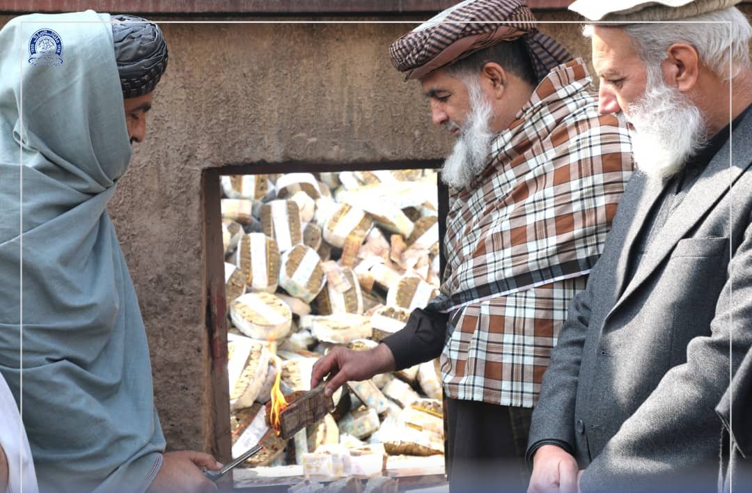 DAB burns over 493 million mutilated afghanis