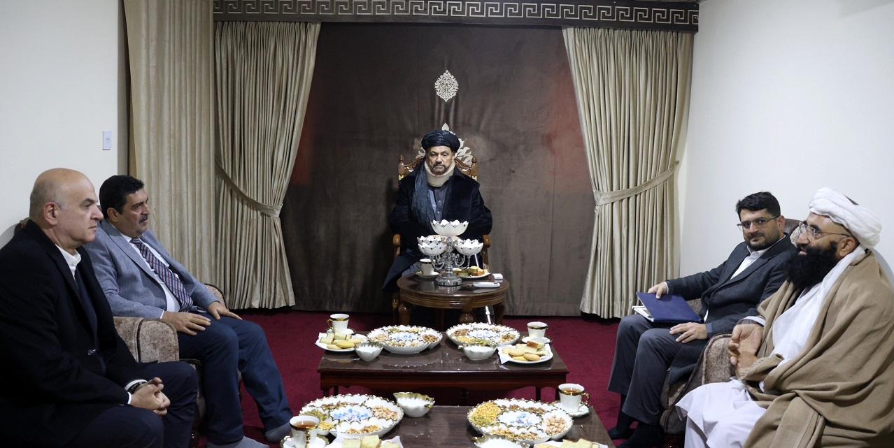 Minister of water and energy discusses investment in mega projects with Turkish firm