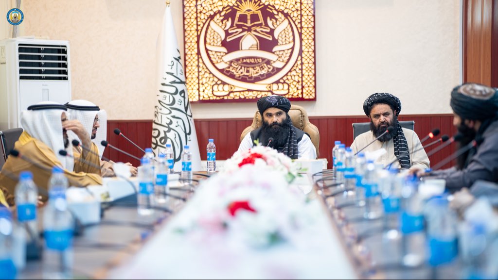 Haqqani urges world to avoid double-standard policy towards Kabul