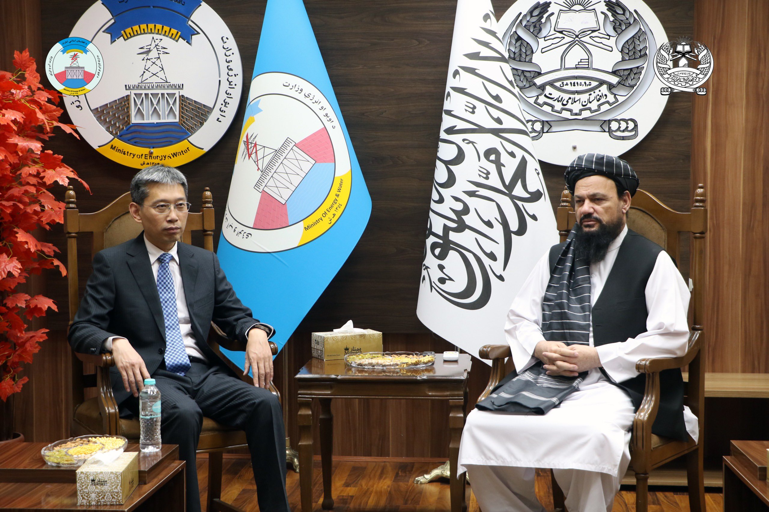 Afghan minister of energy, Chinese ambassador discuss projects related to electricity 