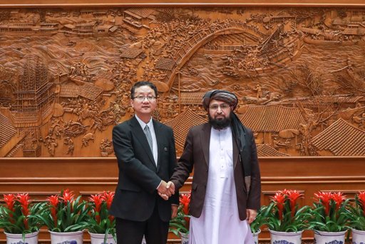 China, Afghanistan discuss strengthening relations 