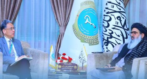 Public health minister, WHO representative discuss key issues