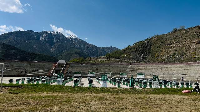 KSrelief distributes aid to 1000 families in Panjshir