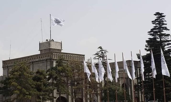 Islamic Emirate expresses grief over casualties to protestors in Pakistan