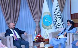 Afghanistan urges Turkiye to extend cooperation in health sector
