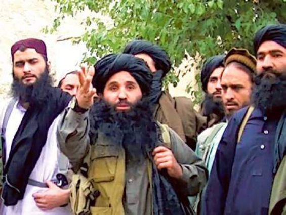 TTP announces month-long ceasefire with Pakistan government