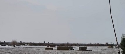 One killed, four injured in Farah floods