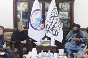 Minister for mines, petroleum meets Tajik investors