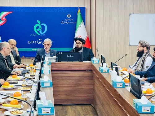 Deputy Minister of public Health visits Iran