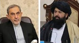 Minister of Higher Education Meets Khamenei's Special Advisor