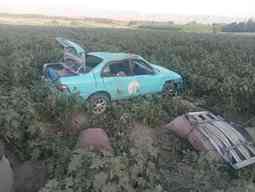 Three killed, nine injured in separate road mishaps 