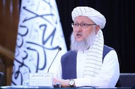 Efforts made to transport Afghan trade goods to Turkiye: Cenk Ünal