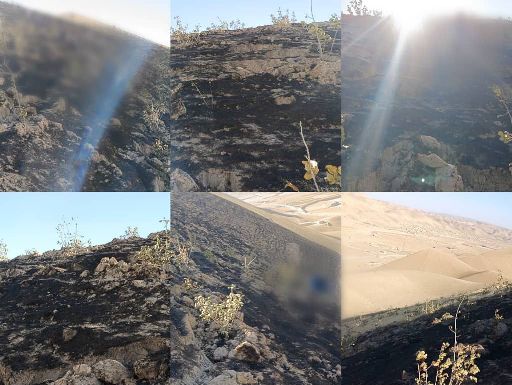 Pistachio orchard burns as fire erupts in Badghis