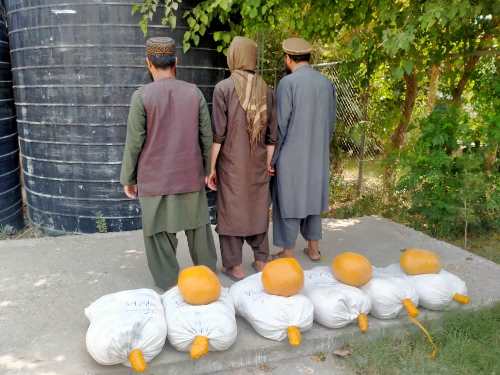 Police seizes 200 kg of opium, arrests 3 alleged smugglers