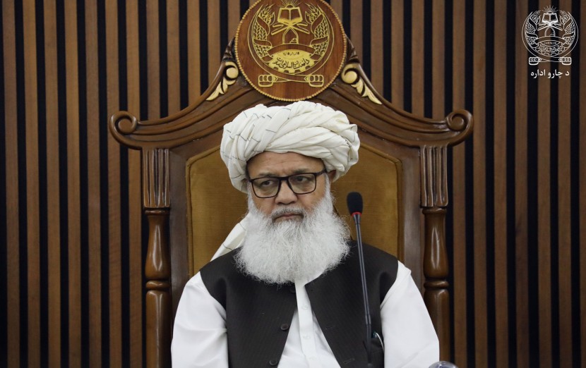 Pakistan seeks its interests in the destruction of Afghanistan: Anwar