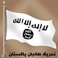 Pakistan Army claims killing senior TTP Commander in Bajaur