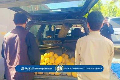 پنجشنير کې لسګونه کيلو ګرامه افيون نيول شوي