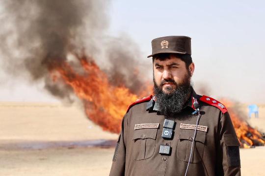 کندوز کې دوه ټنه نشه يي توکي وسوځول شول