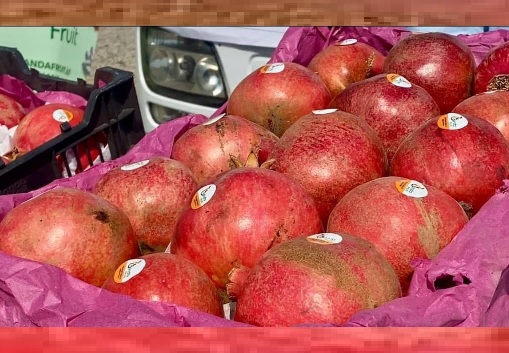 له کندهار څخه په لومړي ځل روسيې ته د انارو صادرات پيل شول