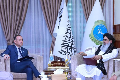 افغان چارواکو له قزاقستان څخه د روغتيا برخه کې د مرستې غوښتنه وکړه