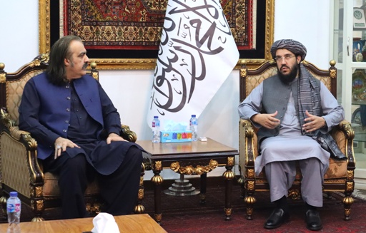 شکيب: د افغانستان او پاکستان خلکو ګټې د عملي همکاريو له لارې خوندي کېدای شي