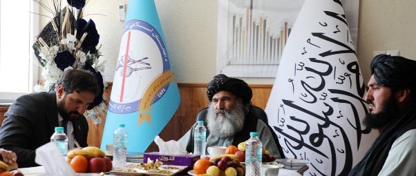 افغانستان او ملګرو ملتونو د نشه يي توکو پر ضد مبارزې برخه کې پر همکاريو خبرې کړي