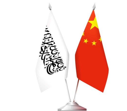 نعماني د چين سفير سره د دغه هېواد له لوري پر پلي کېدونکو پروژو خبري کړي