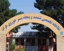 قانع: د هرات پېښه کې ۲۰ تنو ته مرګ ژوبله رسېدلې