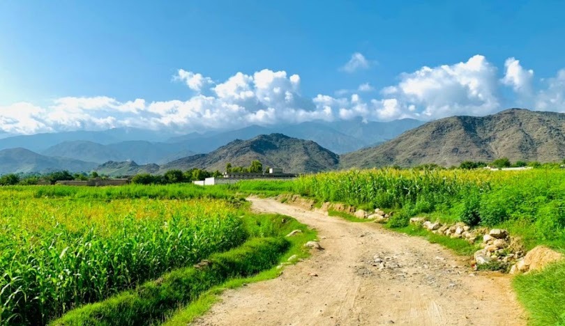 ننګرهار کې اسماني تندر لويدو ۶  تنه ټپیان کړي