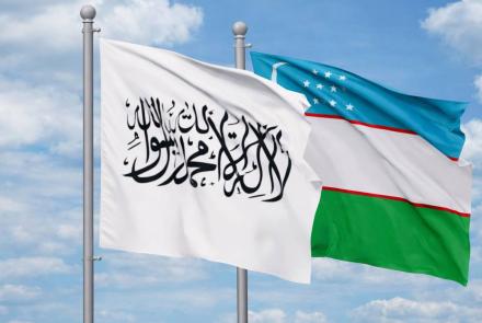 د رياست الوزراء اداري مرستيال د ازبکستان د درملو ادارې مسئول سره وکتل