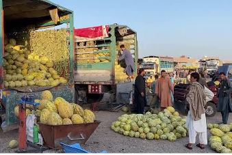 نړیوالو بازارونو ته د هرات د تازه ميوو صادرات زيات شوي